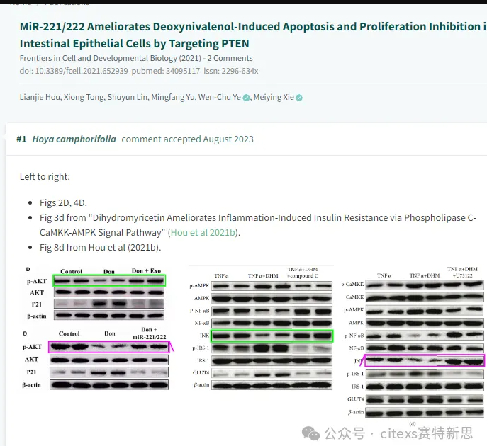 PubPeer学术讨论平台相关评论截图1