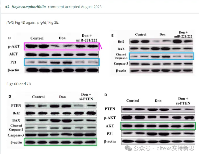 PubPeer学术讨论平台相关评论截图2