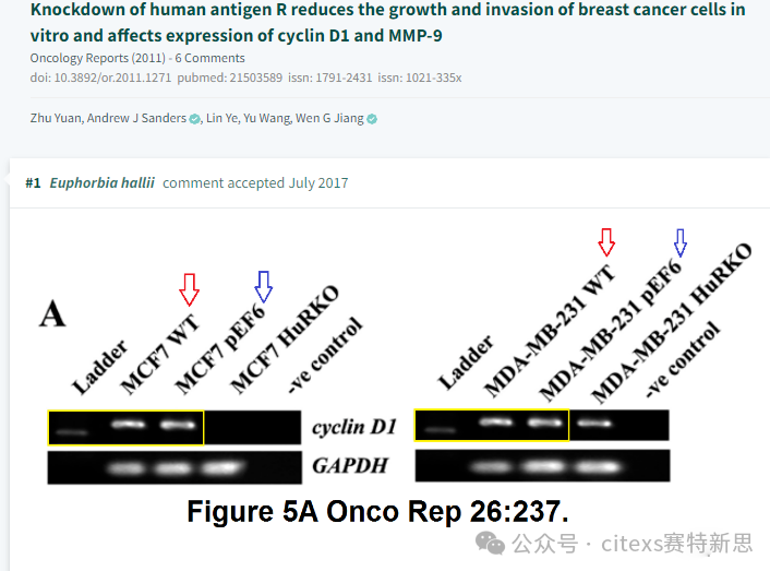 PubPeer学术讨论平台相关评论截图1