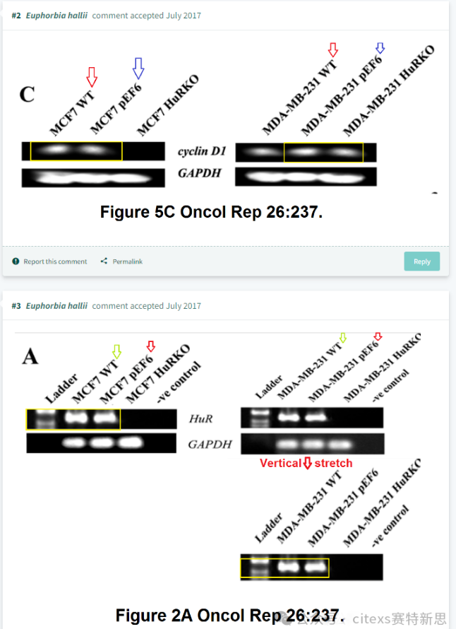 PubPeer学术讨论平台相关评论截图2