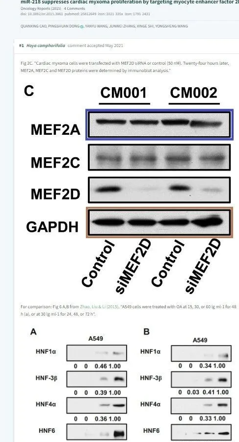 PubPeer学术讨论平台相关评论截图
