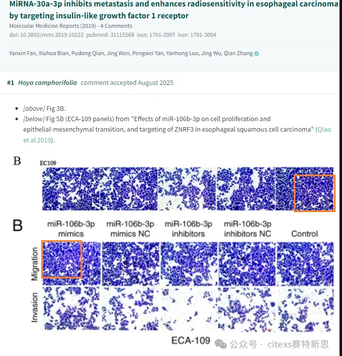PubPeer学术讨论平台相关评论截图1