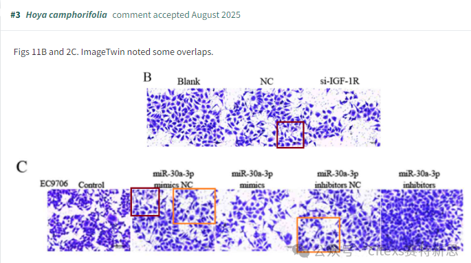 PubPeer学术讨论平台相关评论截图2