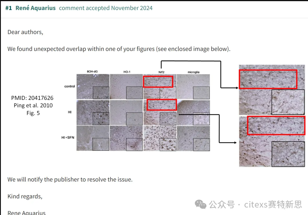 PubPeer学术讨论平台相关评论截图